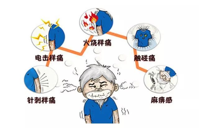 微信图片_20231110162508.jpg