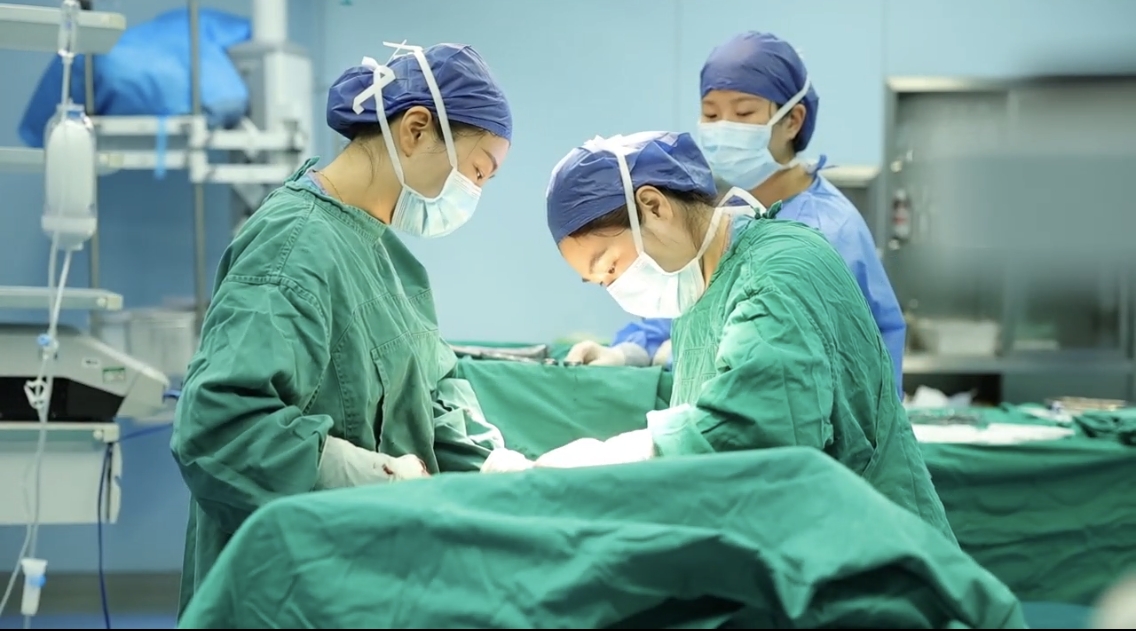 4000929175961905 4000929175961905