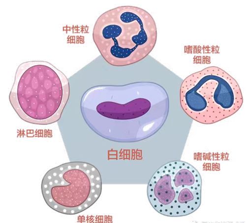 微信图片_20231226163108.jpg